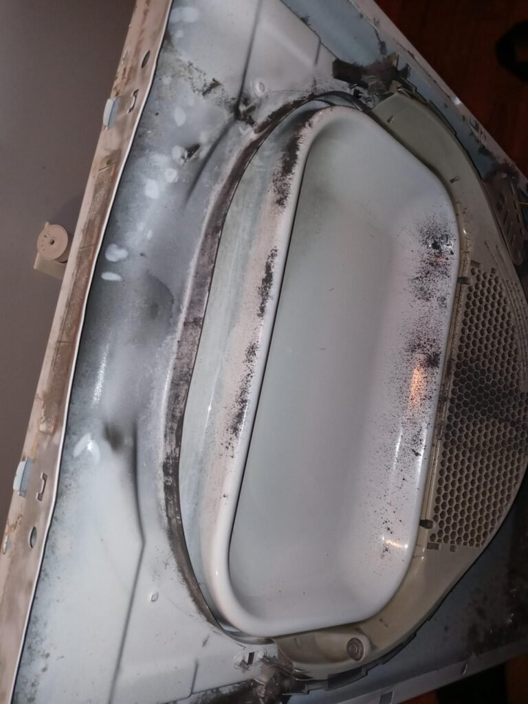 Lint and debris built up around a dryer drum seal and blower housing
